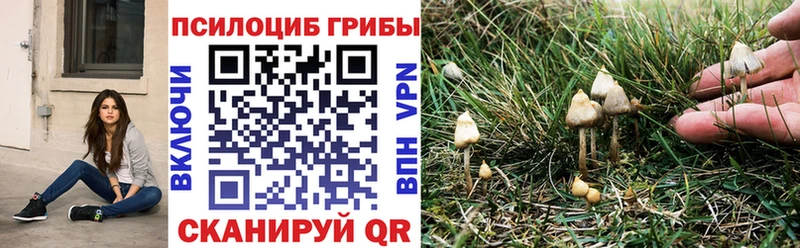 Псилоцибиновые грибы Magic Shrooms  что такое наркотик  мега как войти  нарко площадка формула  Усть-Лабинск 